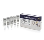 https://www.dev3.thermofisher.com/content/dam/LifeTech/Images/Brands/search/default-brand.jpg